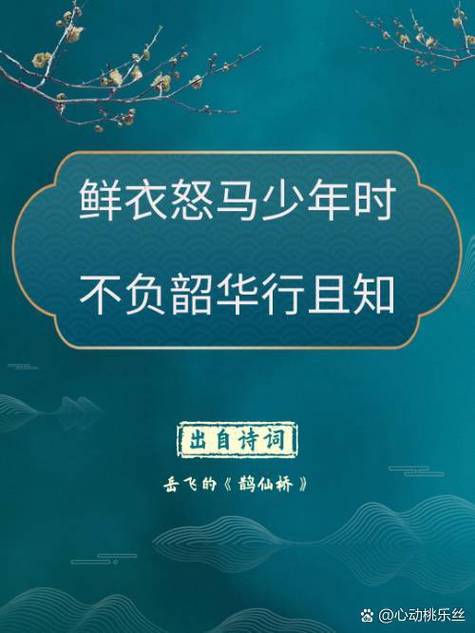 “鲜衣怒马少年时,不负韶华行且知”