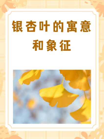 银杏叶子的寓意和象征