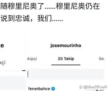ins不小心取消关注再关注