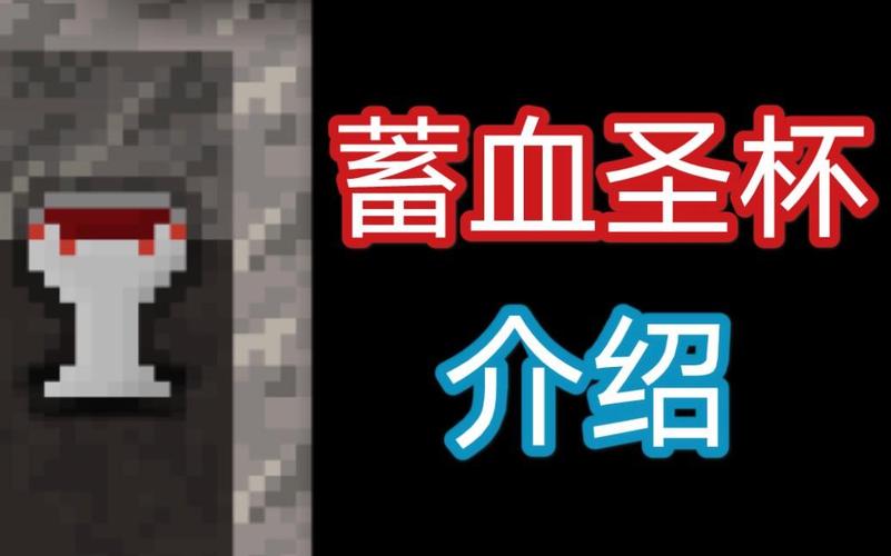 蓄血圣杯每级掉血量
