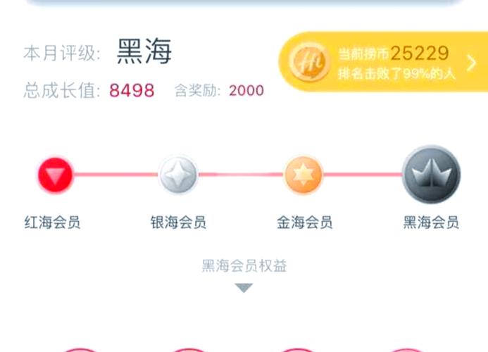 海底捞会员制度游戏截图
