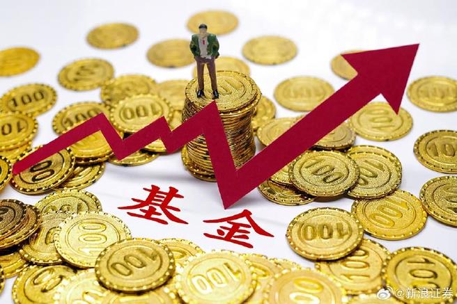 中国有对冲基金吗图标