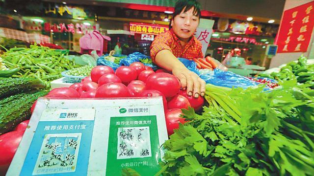 支付宝如何绑定学生证2019图标