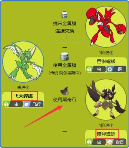 劈斧螳螂进化