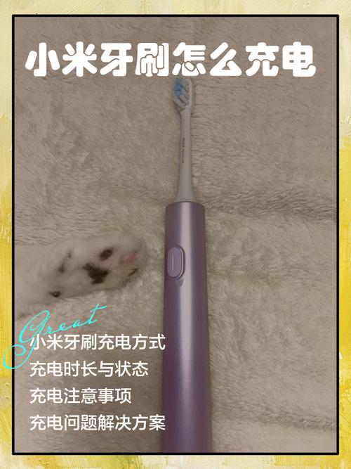 小米牙刷没有充电头