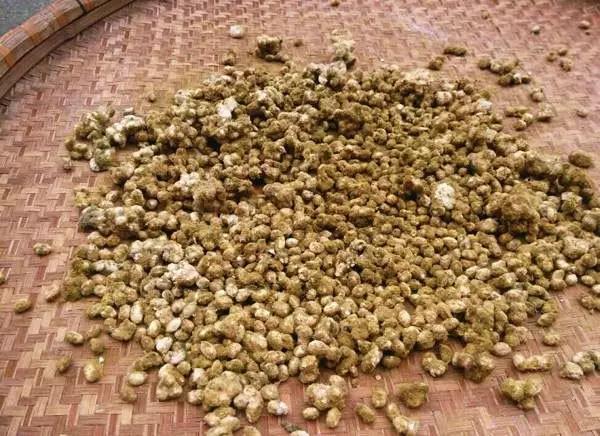 捂酱豆出黑毛是啥原因