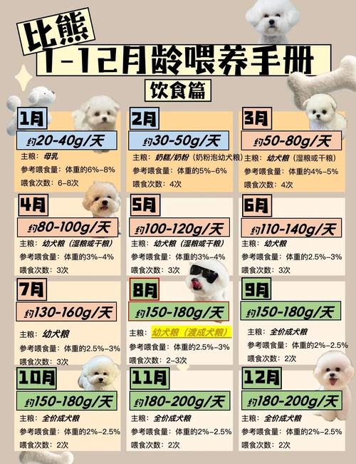 旺财狗的喂食方法