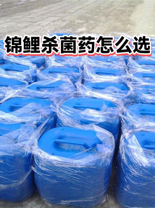 锦鲤身体发红溃烂用什么药