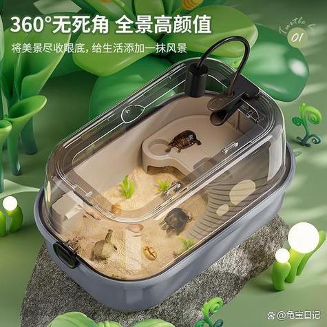 家庭养乌龟最佳方法游戏截图