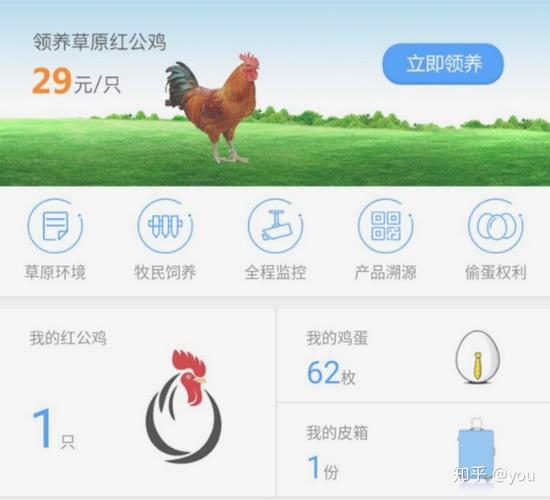 养鸡领鸡蛋小程序源码截图