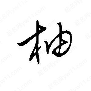 柚字最聚财的名字