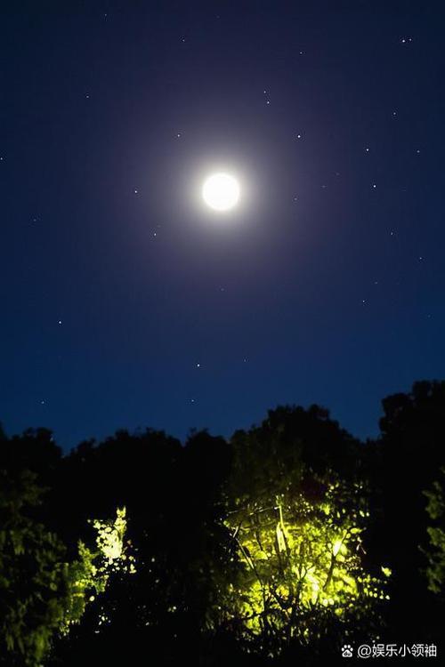 风高月夜