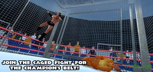 wwe摔跤革命3d汉化版缩略图