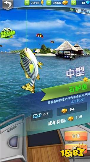 全民钓鱼2攻略