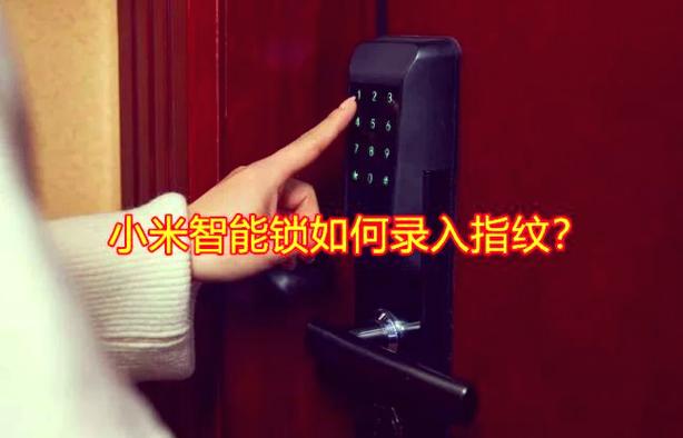 小米指纹锁指纹录不上