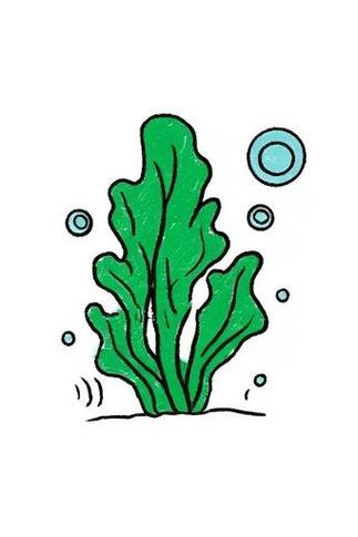 海藻儿童画