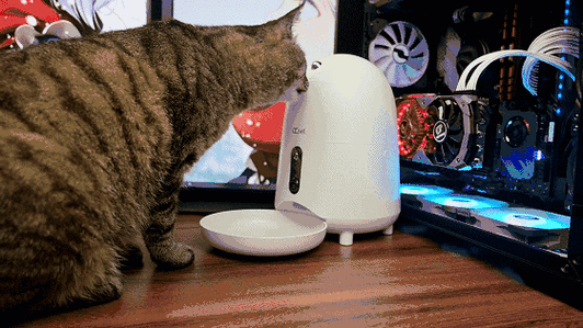 自动喂猫器