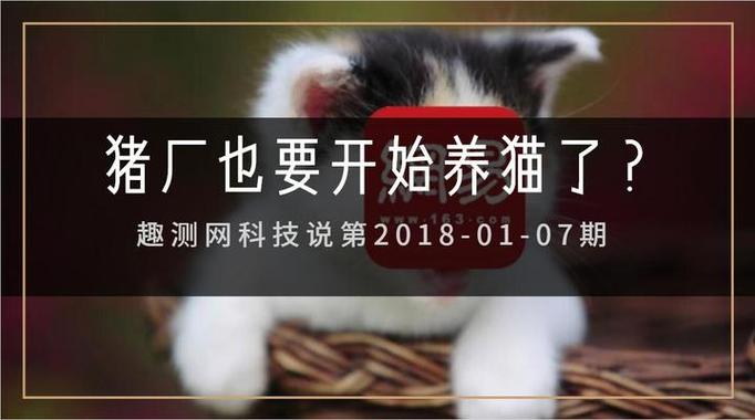 叮当区块养猫平台游戏截图