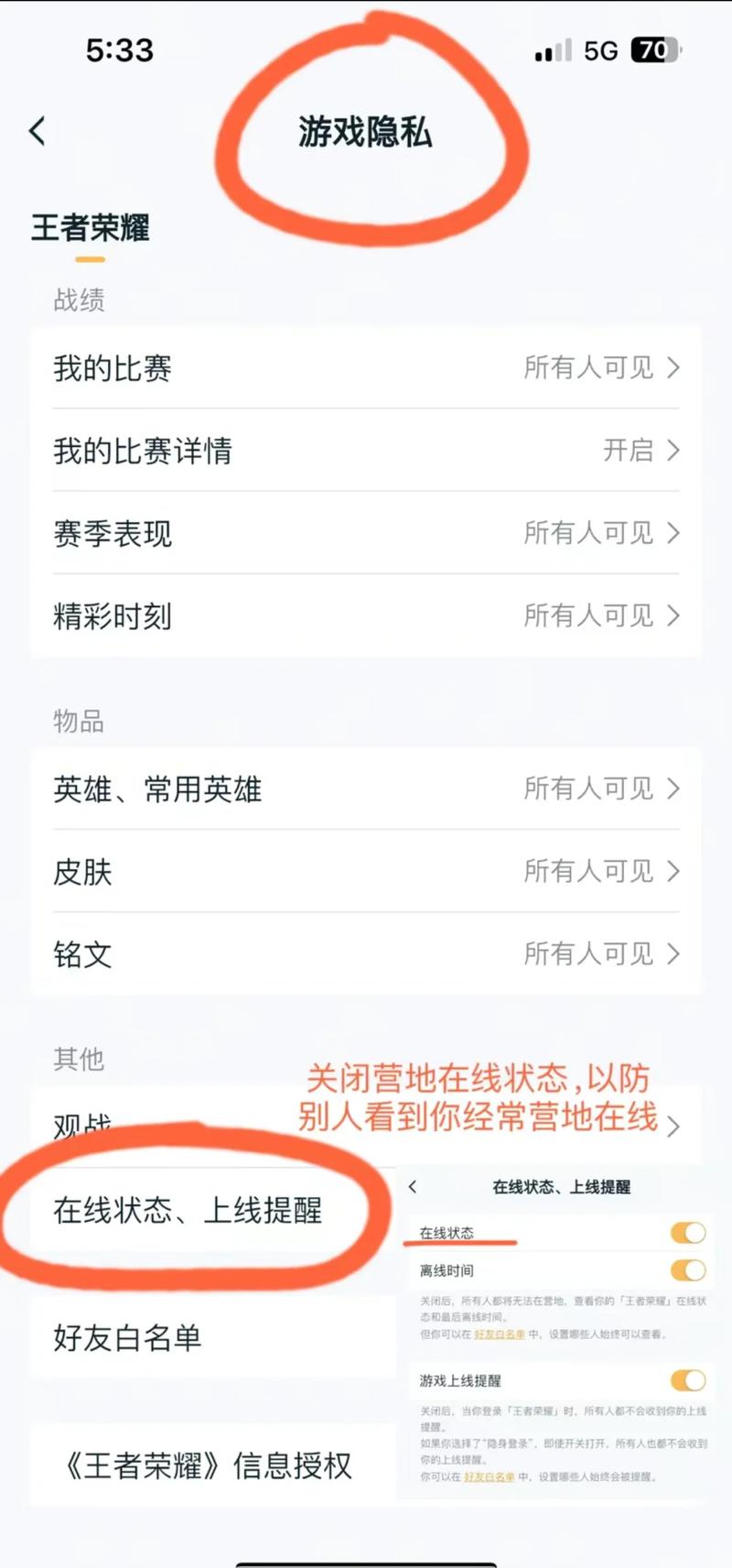 王者荣耀隐藏战绩查询网页