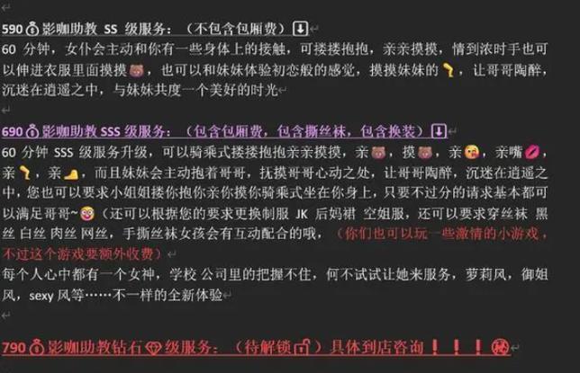 私影大概价格