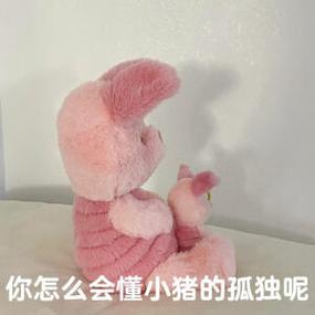 甜蜜小猪乒可表情包