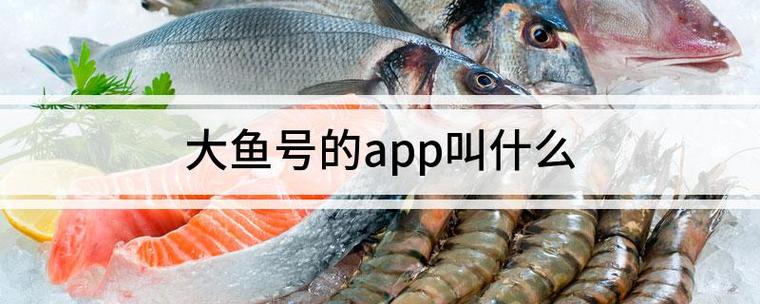 大鱼号对应的app是什么