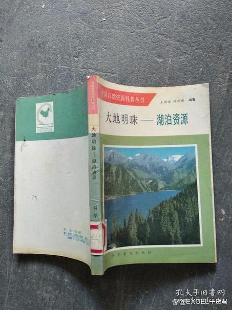 大地第三页在线观看完整
