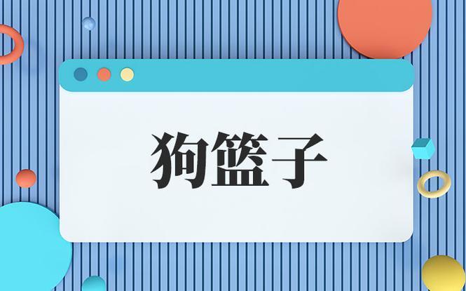 东北狗篮子啥意思缩略图