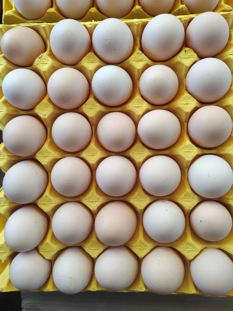 一板鸡蛋多少个