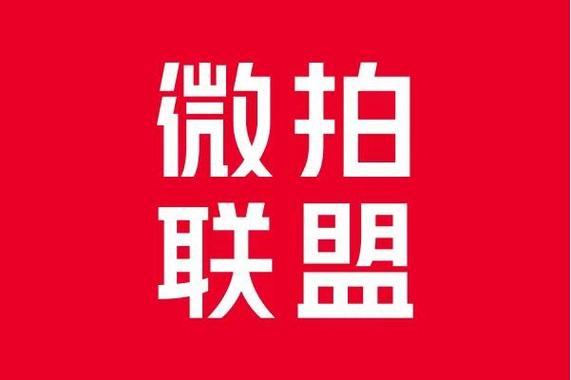 微拍堂v6是什么意思