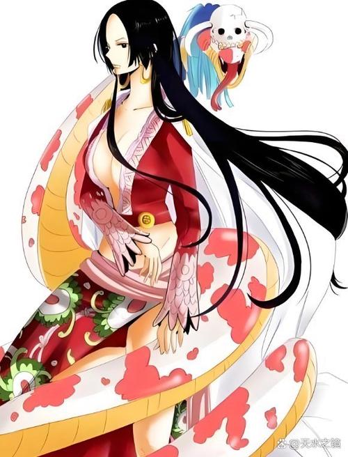 穿越海贼推到很多美女
