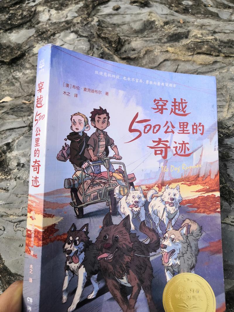 奇迹文库