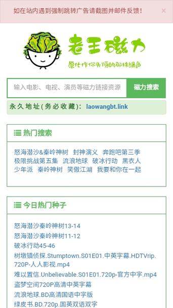 老王下载器