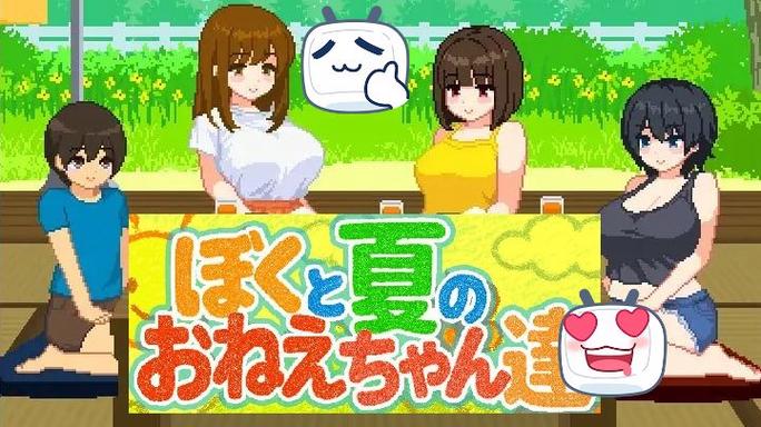《我和夏天的姐姐们》安装包