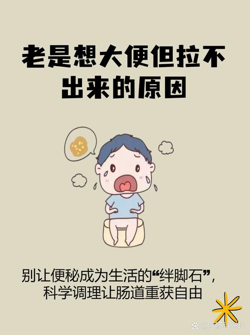 想拉粑粑拉不出来