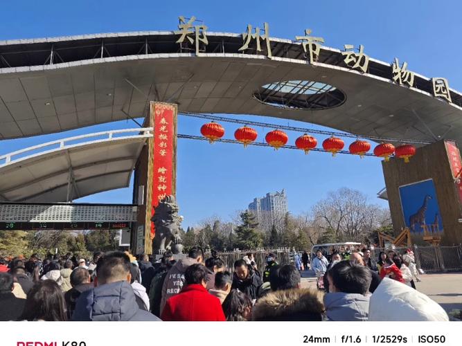 郑州最大动物园在哪建