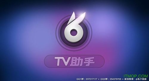 和平精英兔子直装辅助的功能