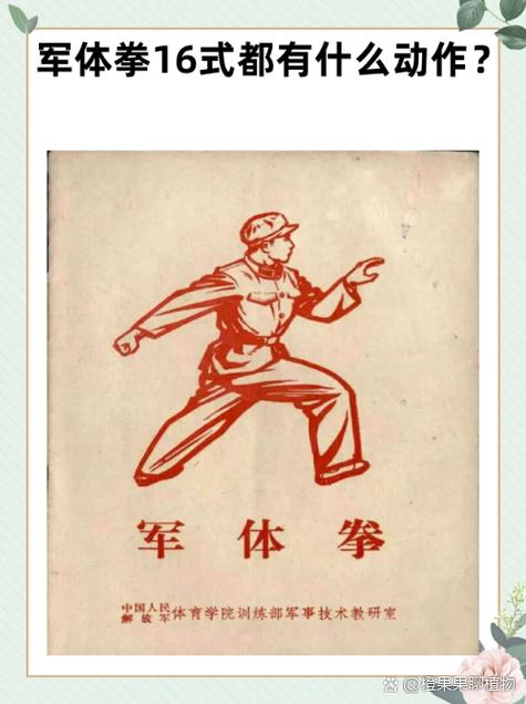 军体拳全套教程视频