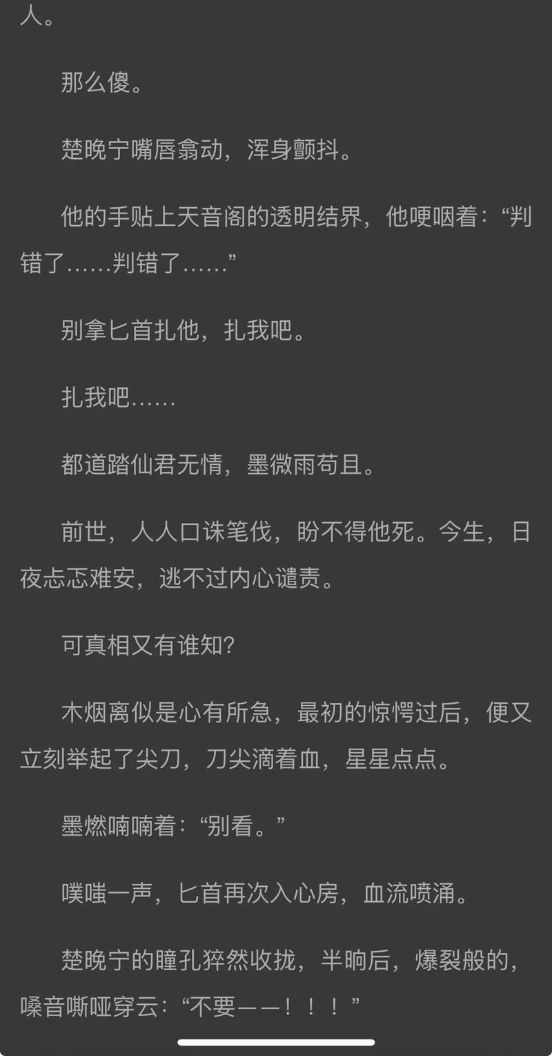 沈墨辞晚风不渡全文免费阅读