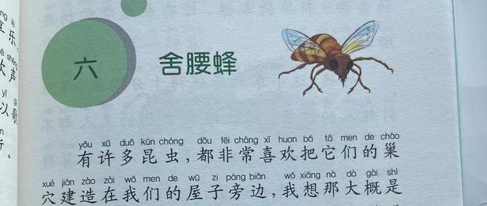 三姐点灯不干活打一昆虫