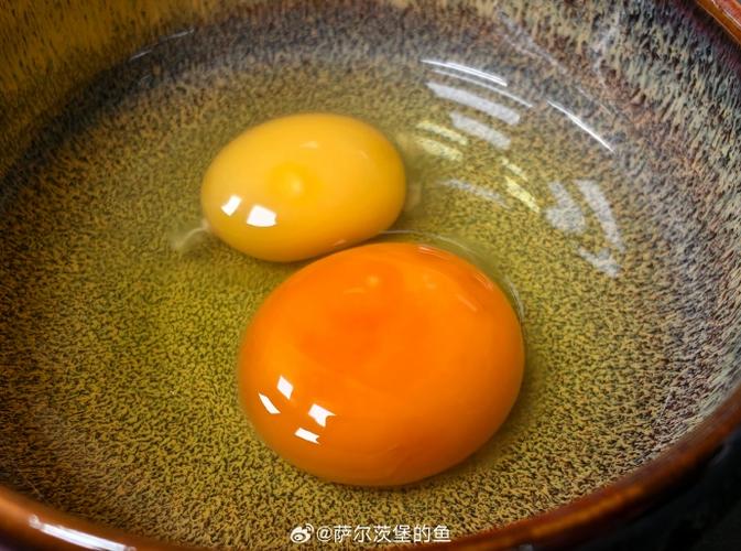 小小鸡蛋叫什么蛋