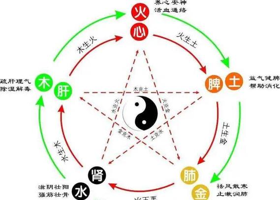 6是什么意思