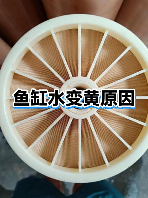 鱼缸水发黄原因