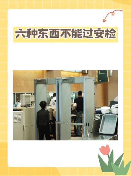 冷冻肉可以过安检吗
