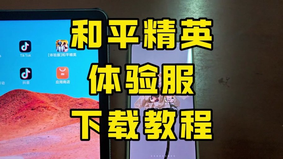 和平精英先锋服资格申请