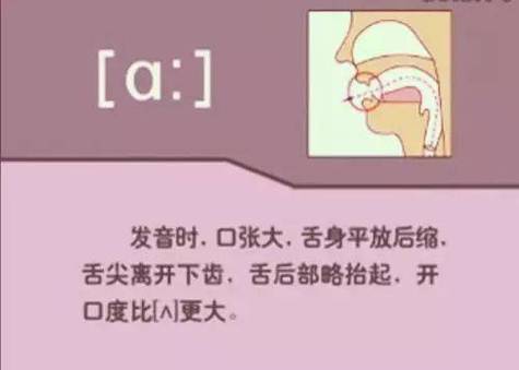 半元音要连读还是爆破