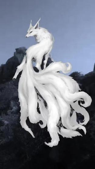 白狐剪辑视频