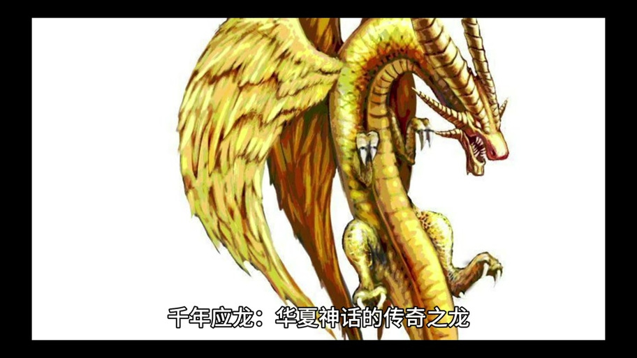 亿万光辉之龙缩略图