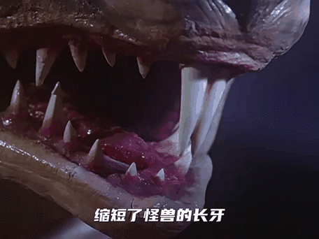 怪兽动物园