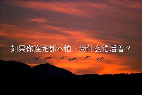 死亡到底可怕不可怕